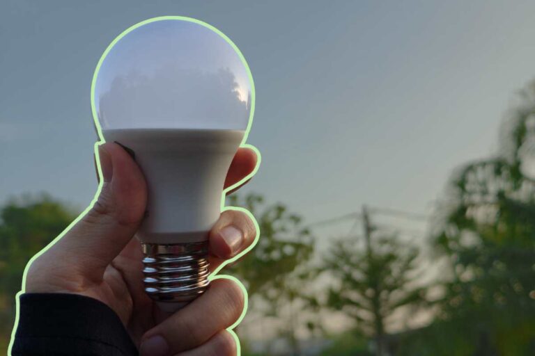 circadian rhythm light bulb