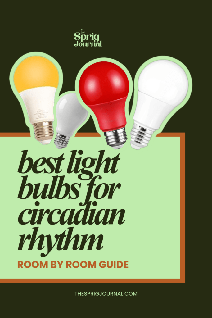Best light bulbs for circadian rhythm pinterest pin